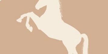 453731029_1016232083844708_6341446936231548889_n