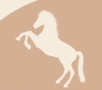 453731029_1016232083844708_6341446936231548889_n