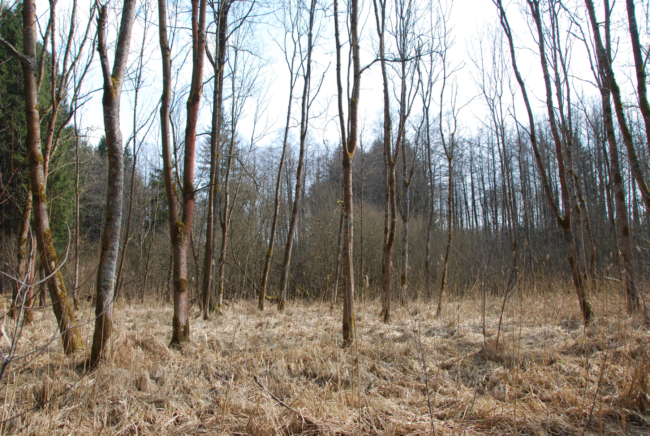 Bildschirmfoto 2021-09-30 um 14.27.16