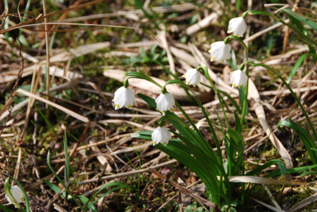 Bildschirmfoto 2021-09-30 um 14.27.22