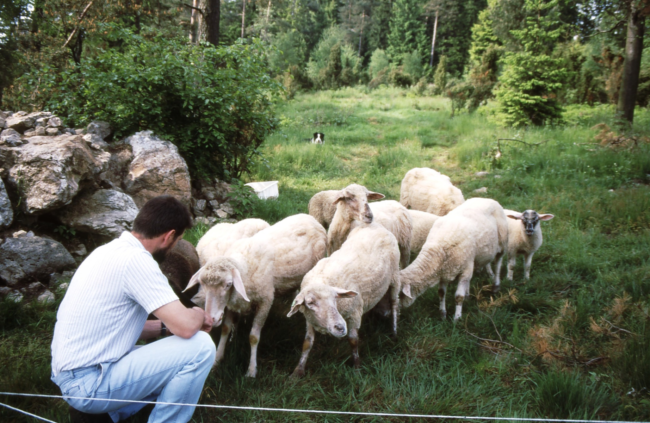 Bildschirmfoto 2021-09-30 um 14.27.31