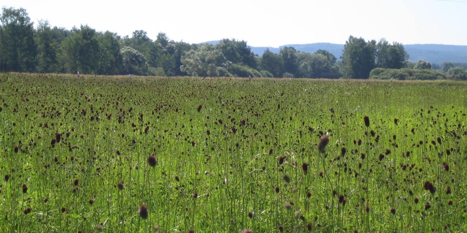 Bildschirmfoto 2021-09-30 um 14.27.40