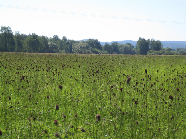 Bildschirmfoto 2021-09-30 um 14.27.40
