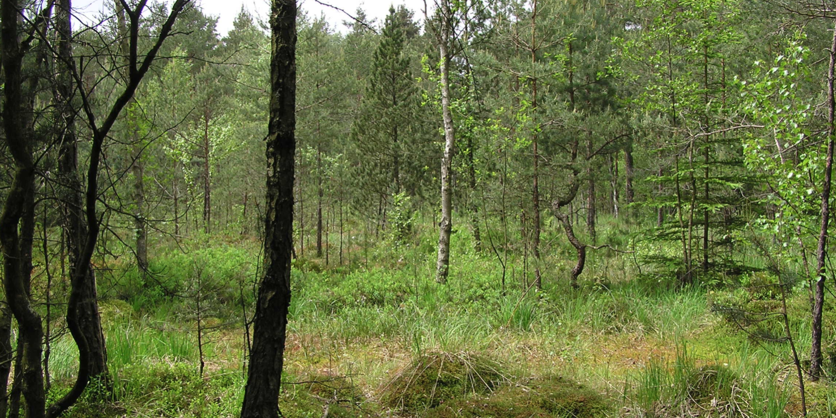 Bildschirmfoto 2021-09-30 um 14.28.37