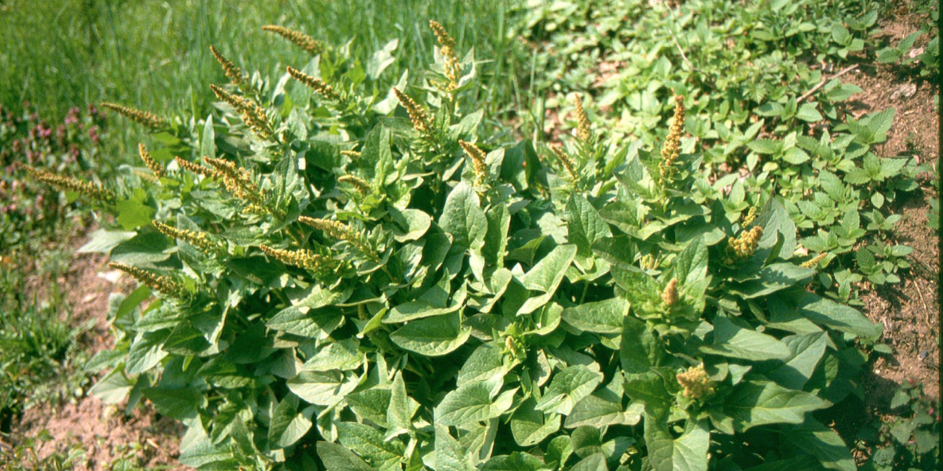 Bildschirmfoto 2021-09-30 um 14.29.08