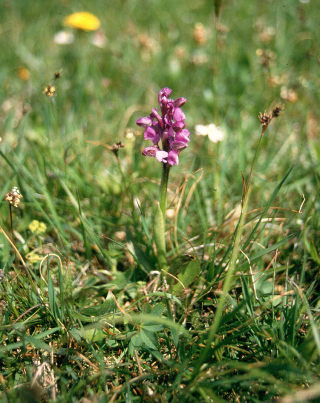 Bildschirmfoto 2021-09-30 um 15.05.58