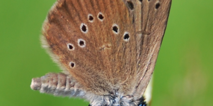 Bildschirmfoto 2021-09-30 um 15.30.24