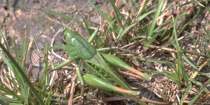 Bildschirmfoto 2021-09-30 um 15.30.35