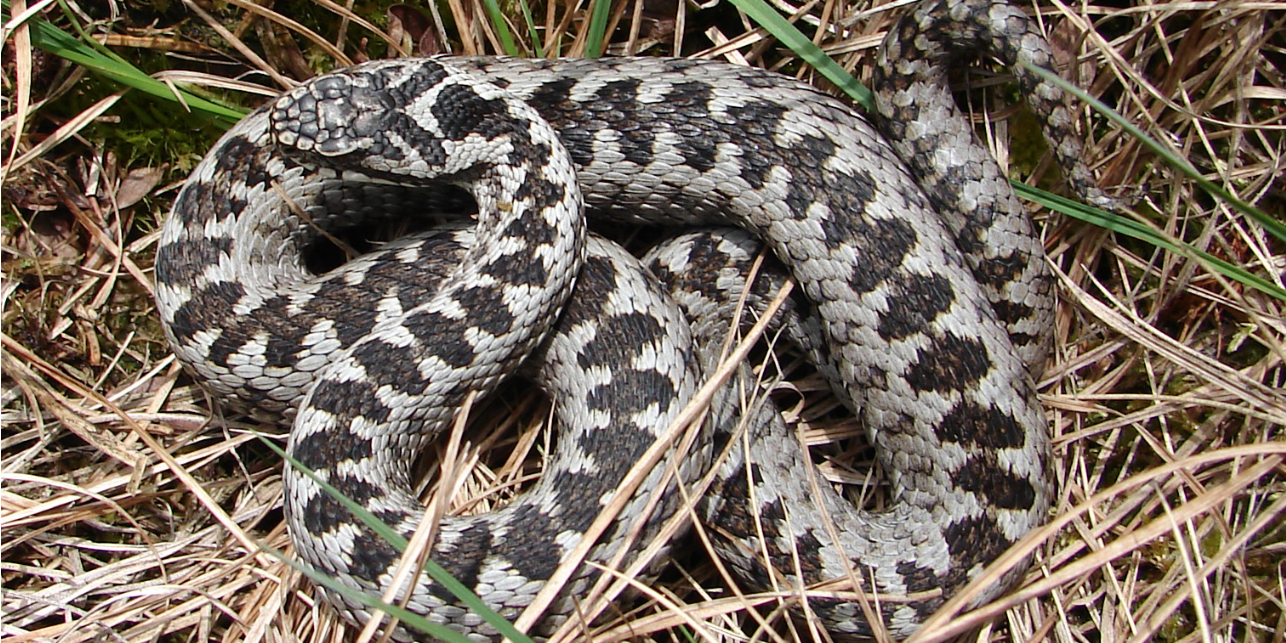 Bildschirmfoto 2021-09-30 um 15.31.21