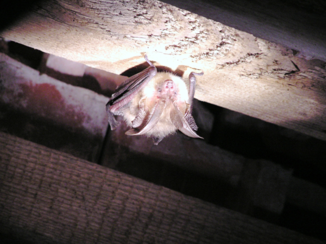 Bildschirmfoto 2021-09-30 um 15.31.33