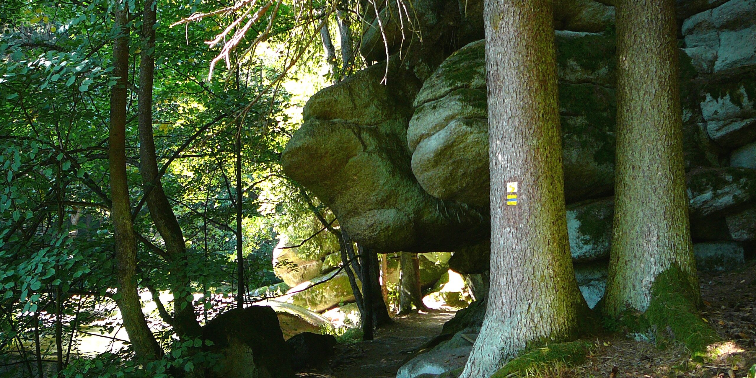 Waldnaabtal am Kammerwagen Tourism