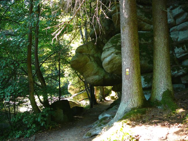 Waldnaabtal am Kammerwagen Tourism