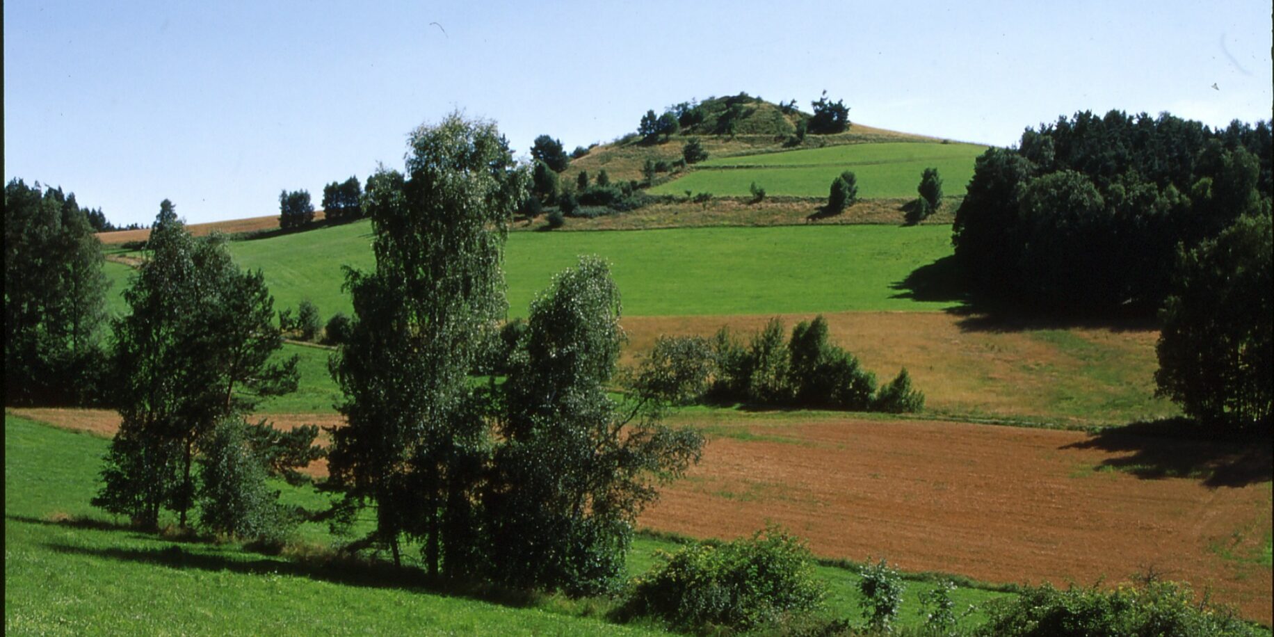 1. Kuschberg 2