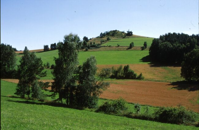1. Kuschberg 2