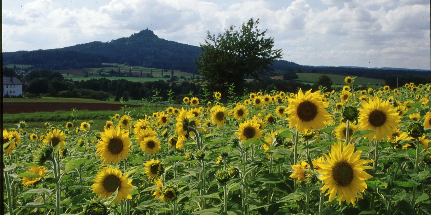 Rauher Kulm v.KastlerBerg
