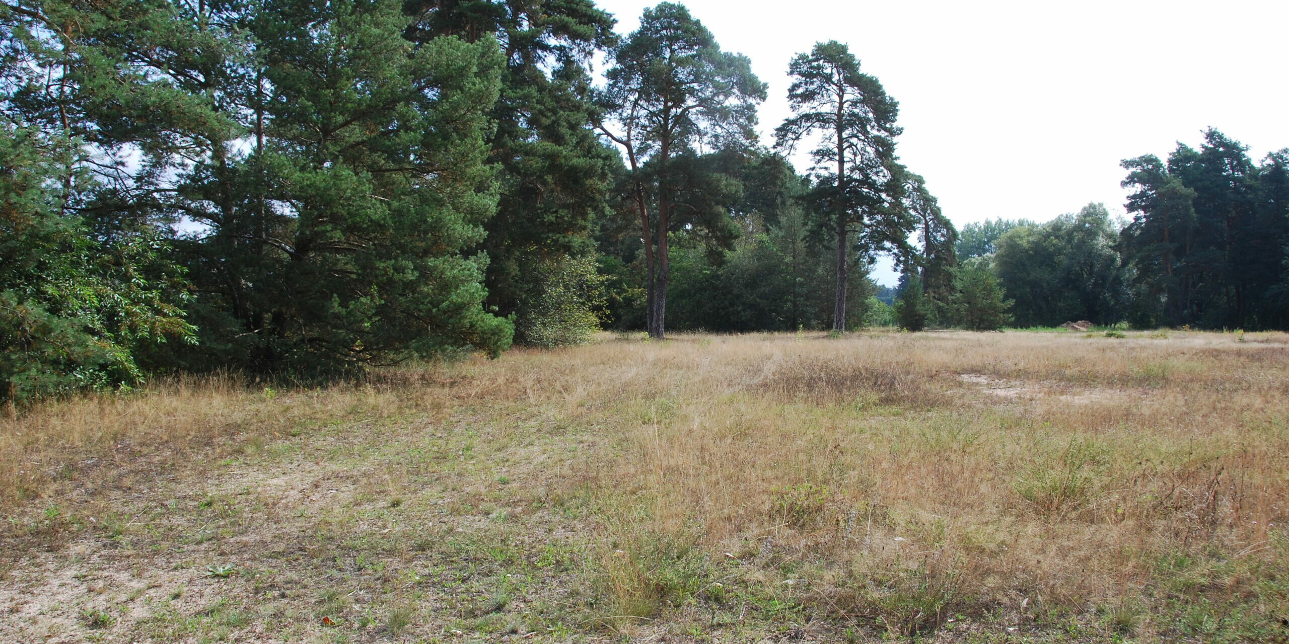 2015-08-19.Sandlebens Kläranlage