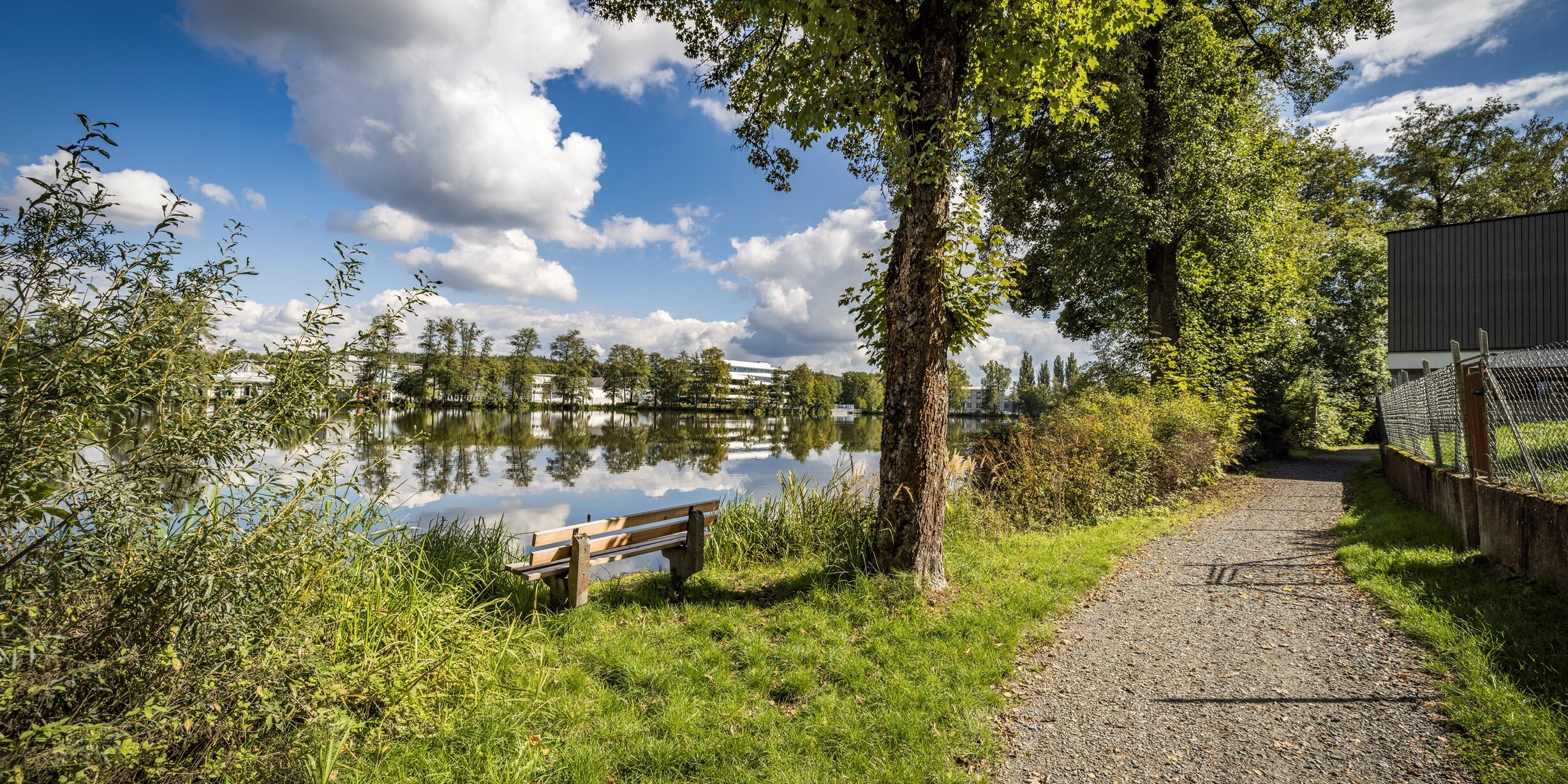 04_Weiherhammer Hammerweiher_Foto Oberpfälzer Wald_Thomas Kujat