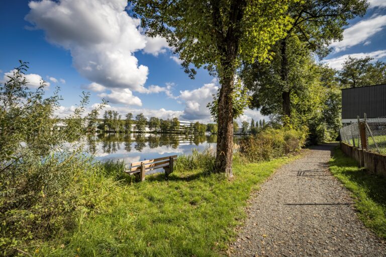 04_Weiherhammer Hammerweiher_Foto Oberpfälzer Wald_Thomas Kujat
