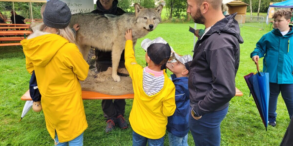 Barthlmarkt-Eslarn-Wolf-Kinder-Foto-Gabriele-Buchbinder-scaled