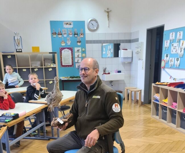 404321211_740087808143131_1523716590488407800_n