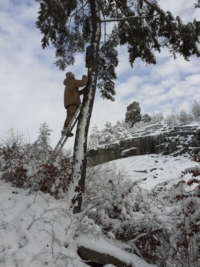 Bilchen Nistkastenkontrolle