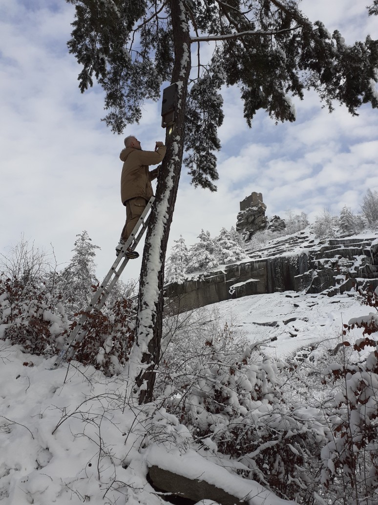 Den Bilchen Auf Der Schliche Naturpark NOW