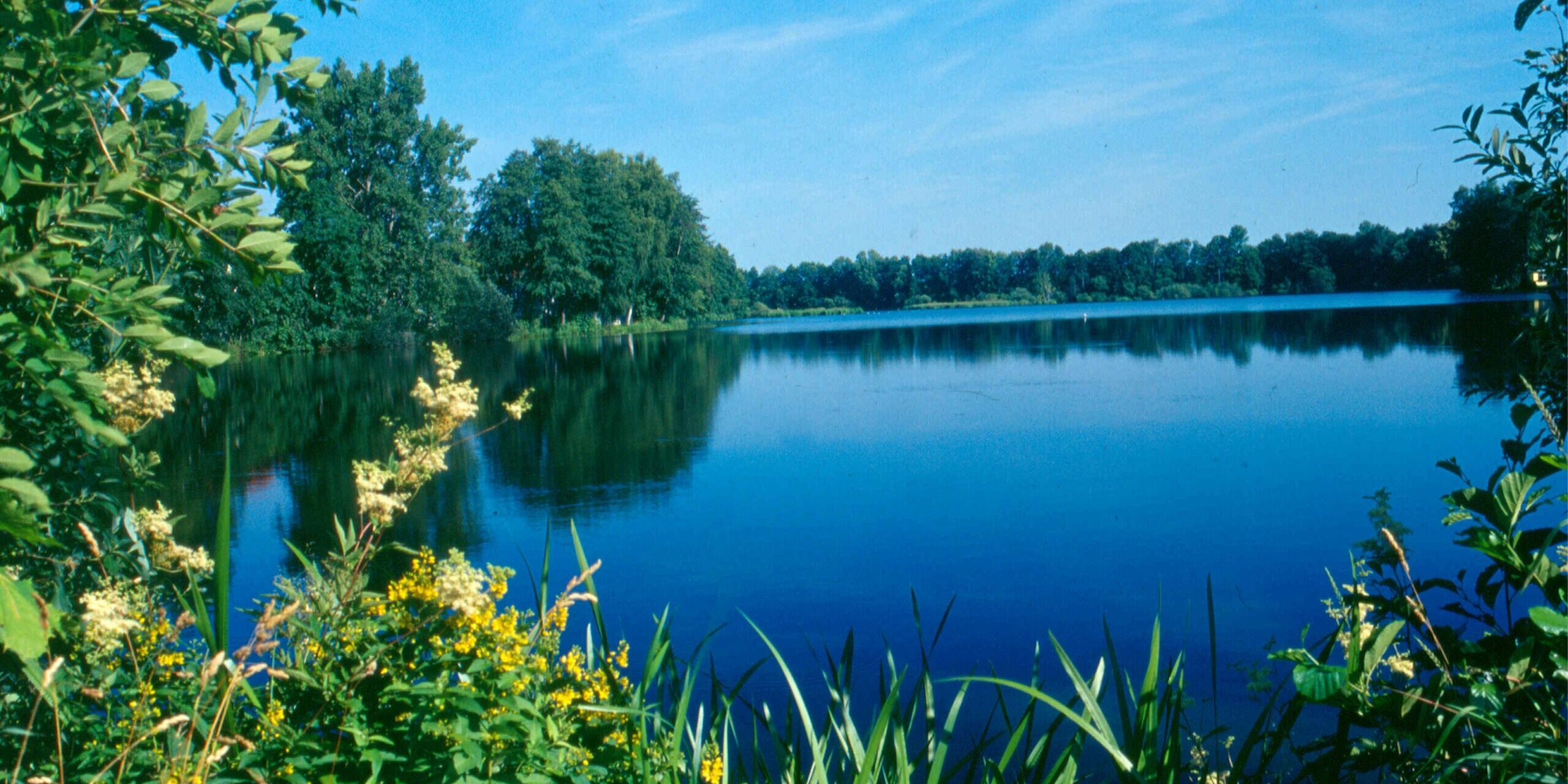 Beckenweiher Weiherhammer