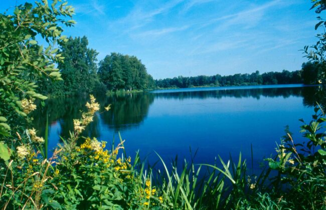 Beckenweiher Weiherhammer