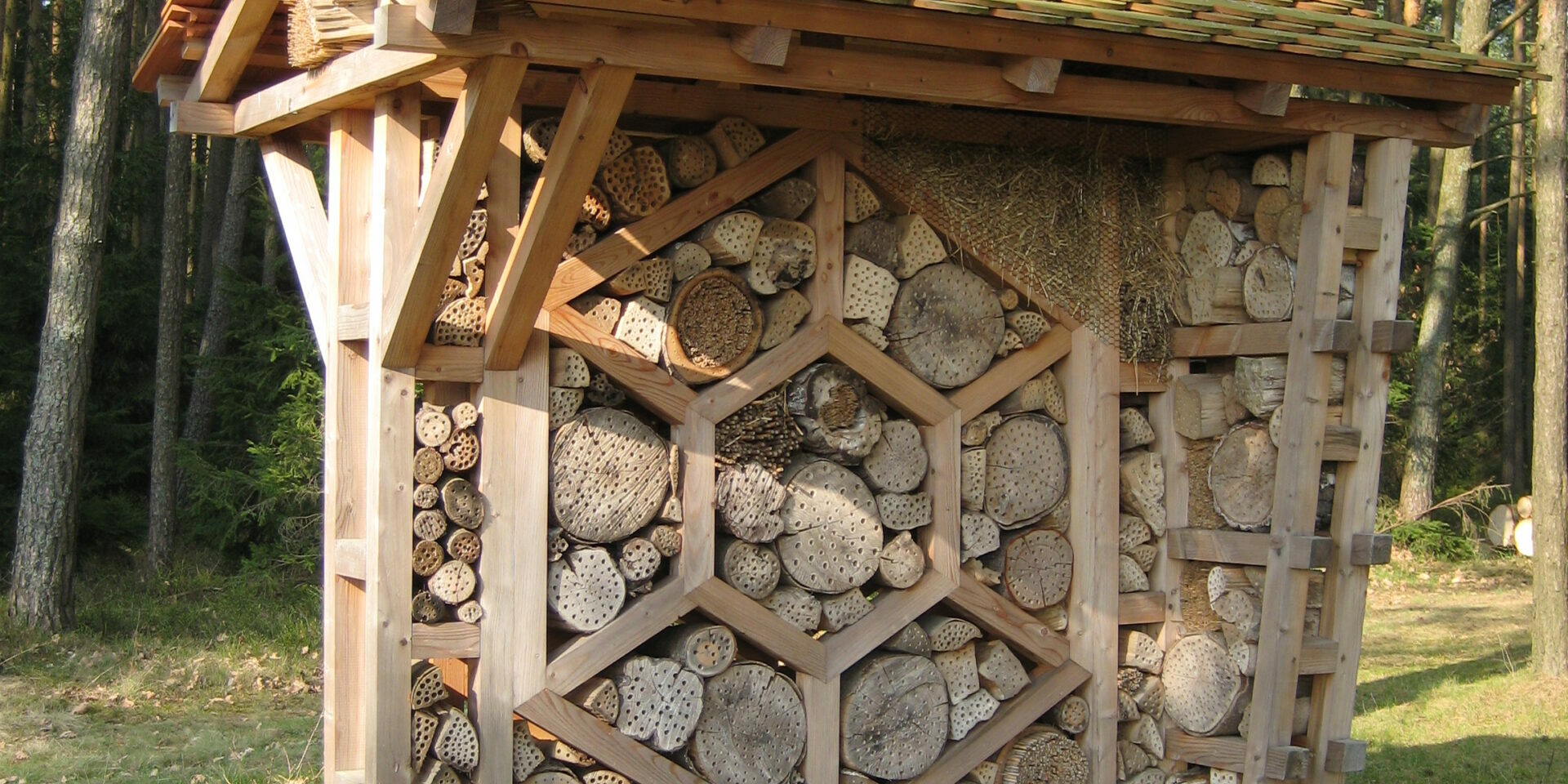 Bienenpfad Kaltenbrunn5