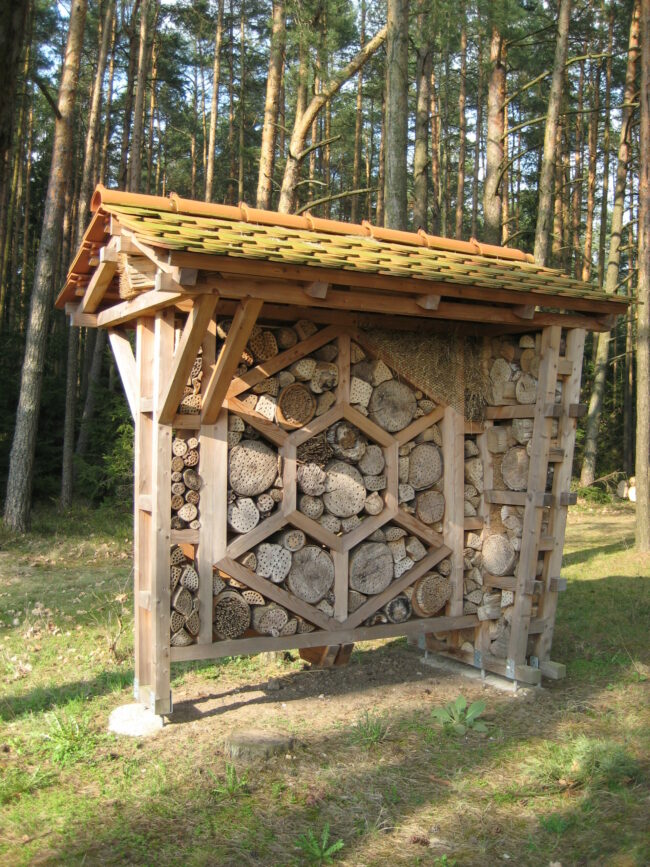 Bienenpfad Kaltenbrunn5