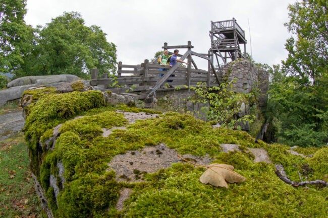 Georgenberg-Burgruine-Schellenberg