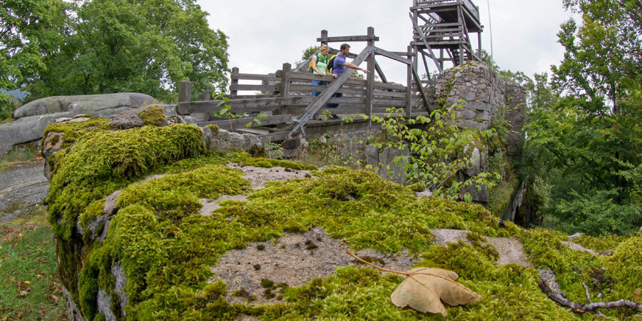 Georgenberg-Burgruine-Schellenberg