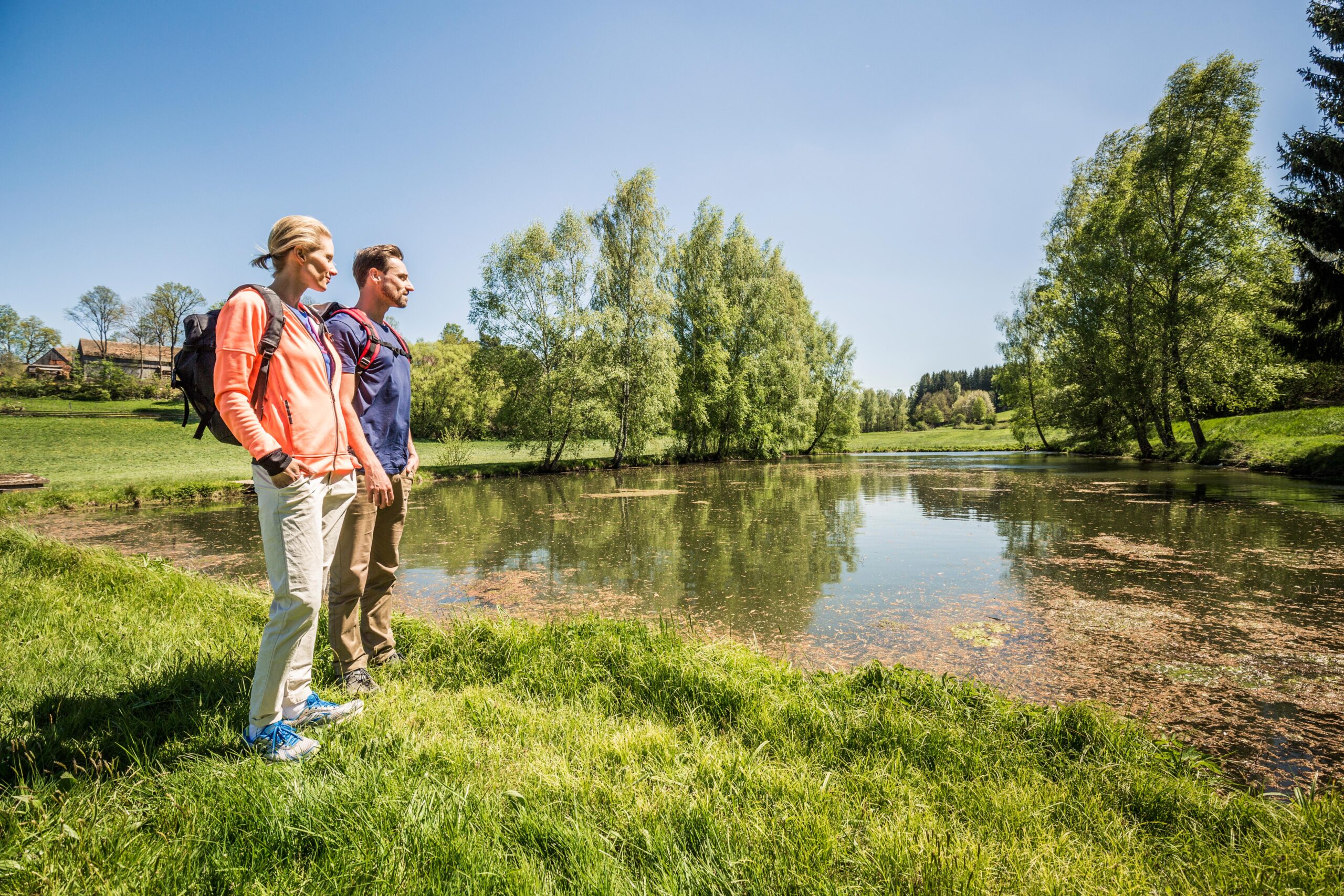 Moosbacher Rundwanderwege - Naturpark NOW