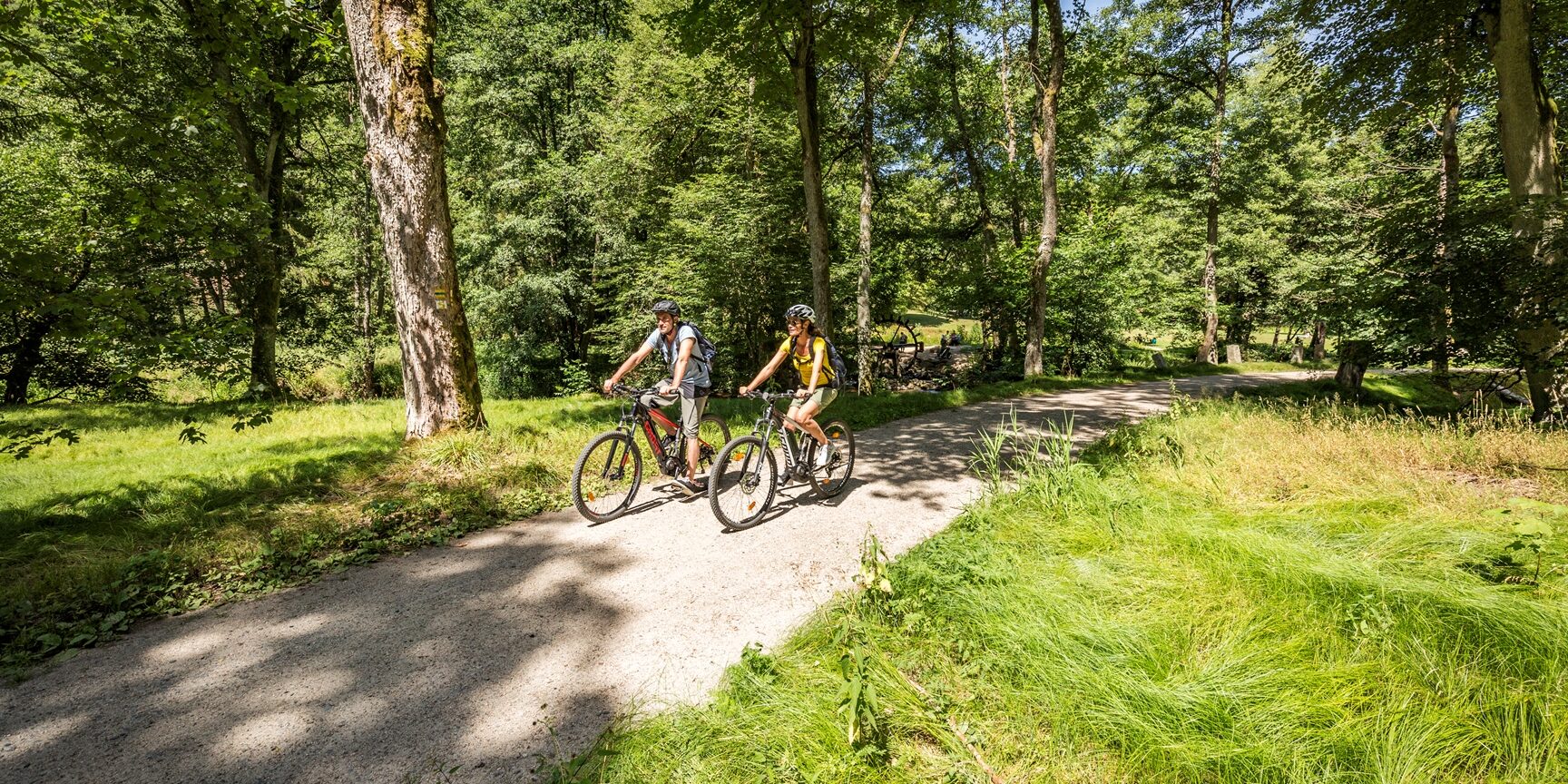 Waldnaabtal-Radweg (36)