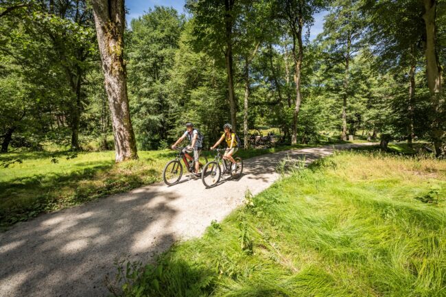 Waldnaabtal-Radweg (36)