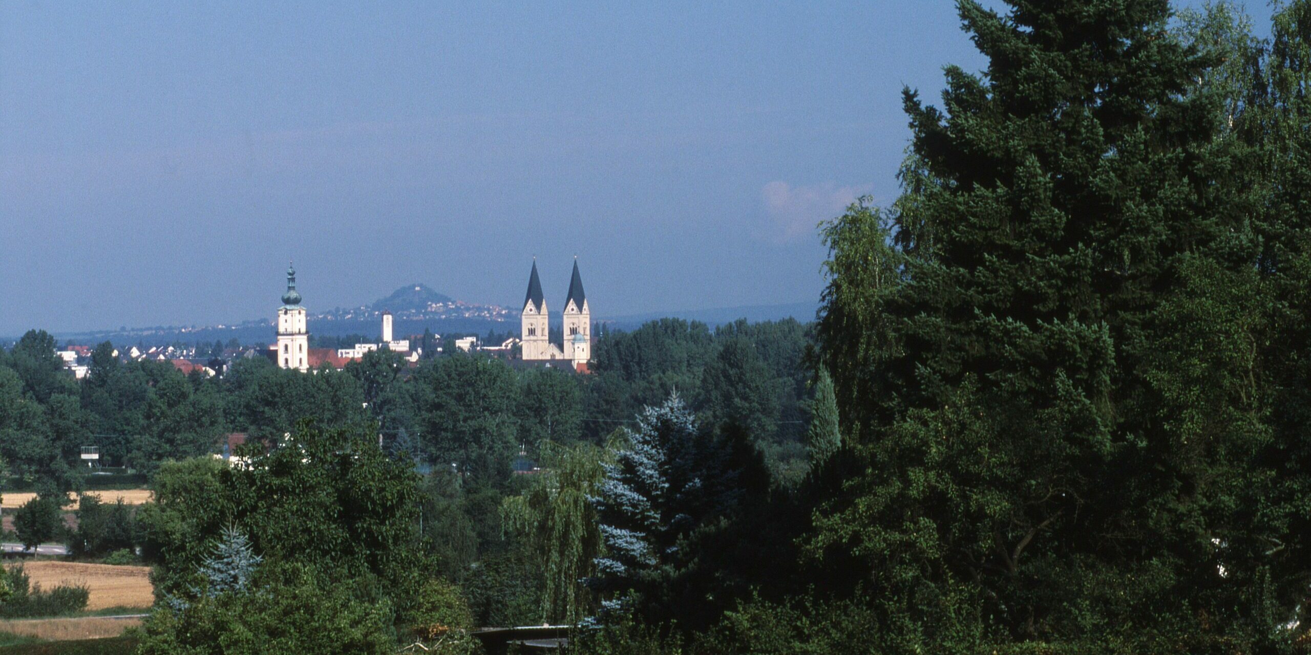 Weiden_mit-Parkstein