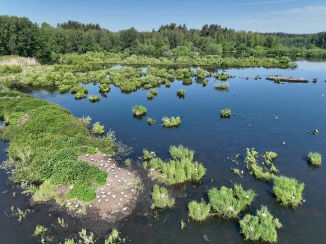 433870079_810412237777354_599405434280761955_n