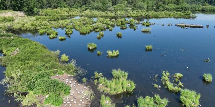 433870079_810412237777354_599405434280761955_n