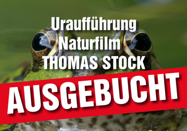 Film-Thomas-Stock-AUSGEBUCHT