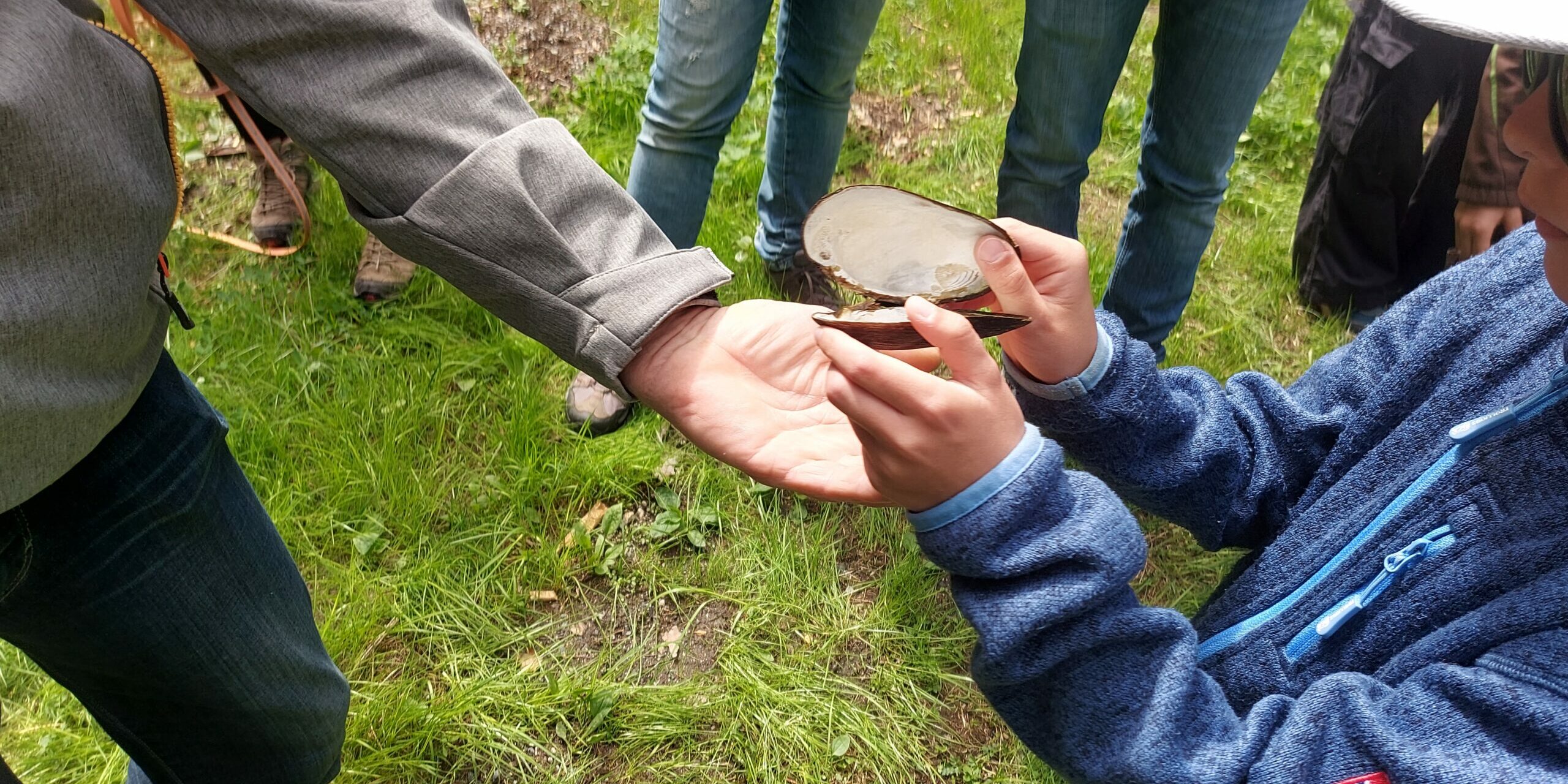 Führung-Flussperlmuschel_05-05-2025